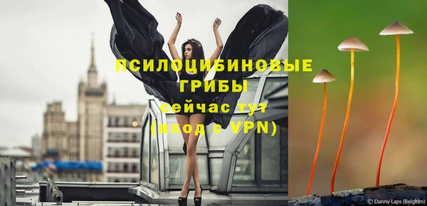 а пвп мука Алзамай