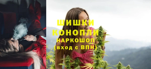 крисы Аркадак