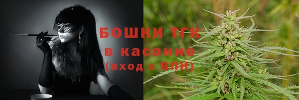 крисы Аркадак